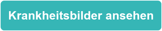 Krankheitsbilder ansehen